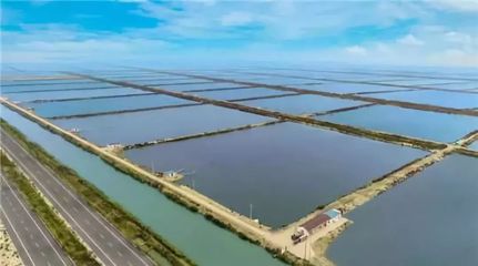 【2018项目推介第47期】姚安县渔业产业园开发建设项目